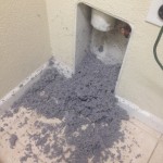 Save Money With a Professional Dryer Vent - Greenville SC - Chim Cheree