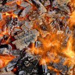 Summer Is Perfect for Seasoning Firewood - Greenville SC - Chim Cheree